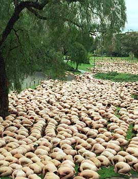 Spencer Tunick, Criticarte.com